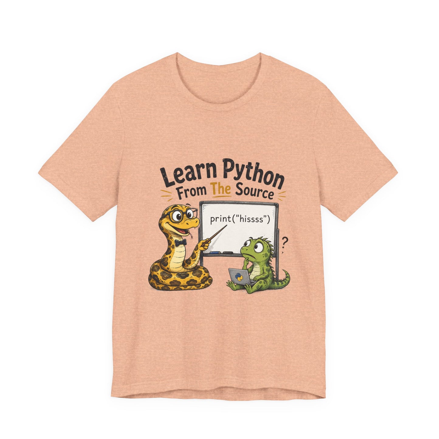 Learn Python From The Source - Cute Snake & Programmer Dino Coding Tee