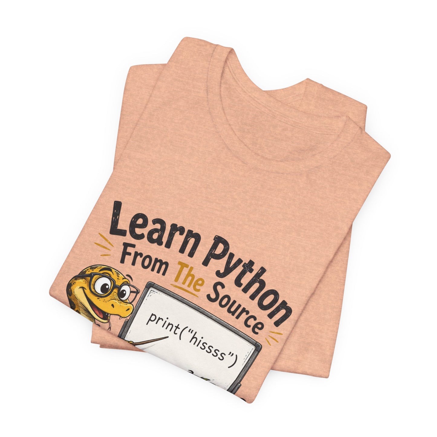 Learn Python From The Source - Cute Snake & Programmer Dino Coding Tee