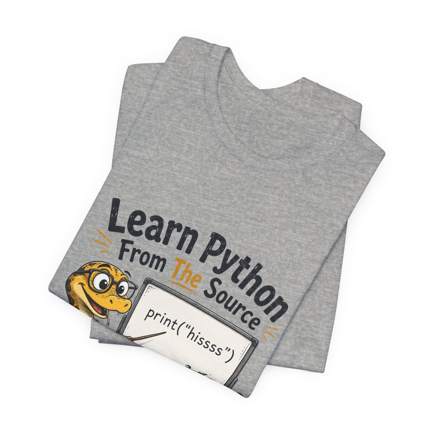 Learn Python From The Source - Cute Snake & Programmer Dino Coding Tee