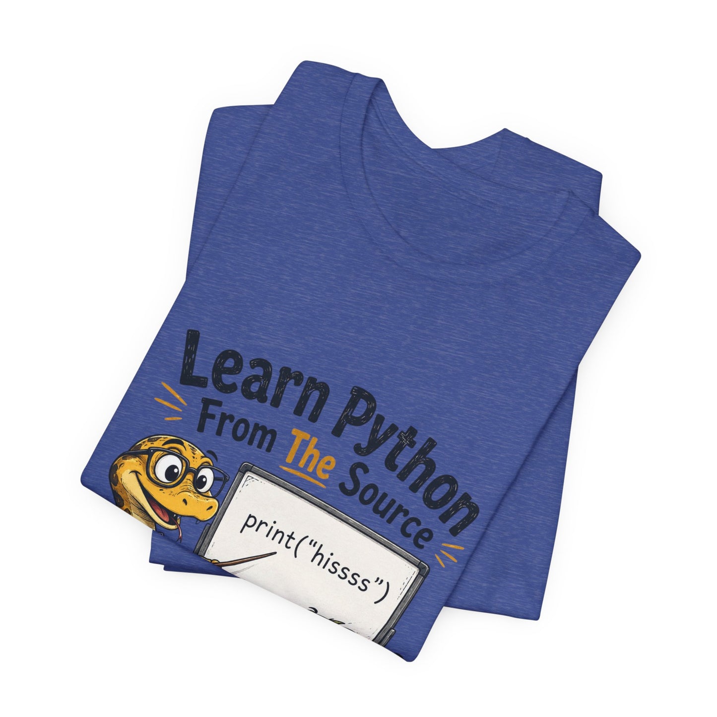 Learn Python From The Source - Cute Snake & Programmer Dino Coding Tee