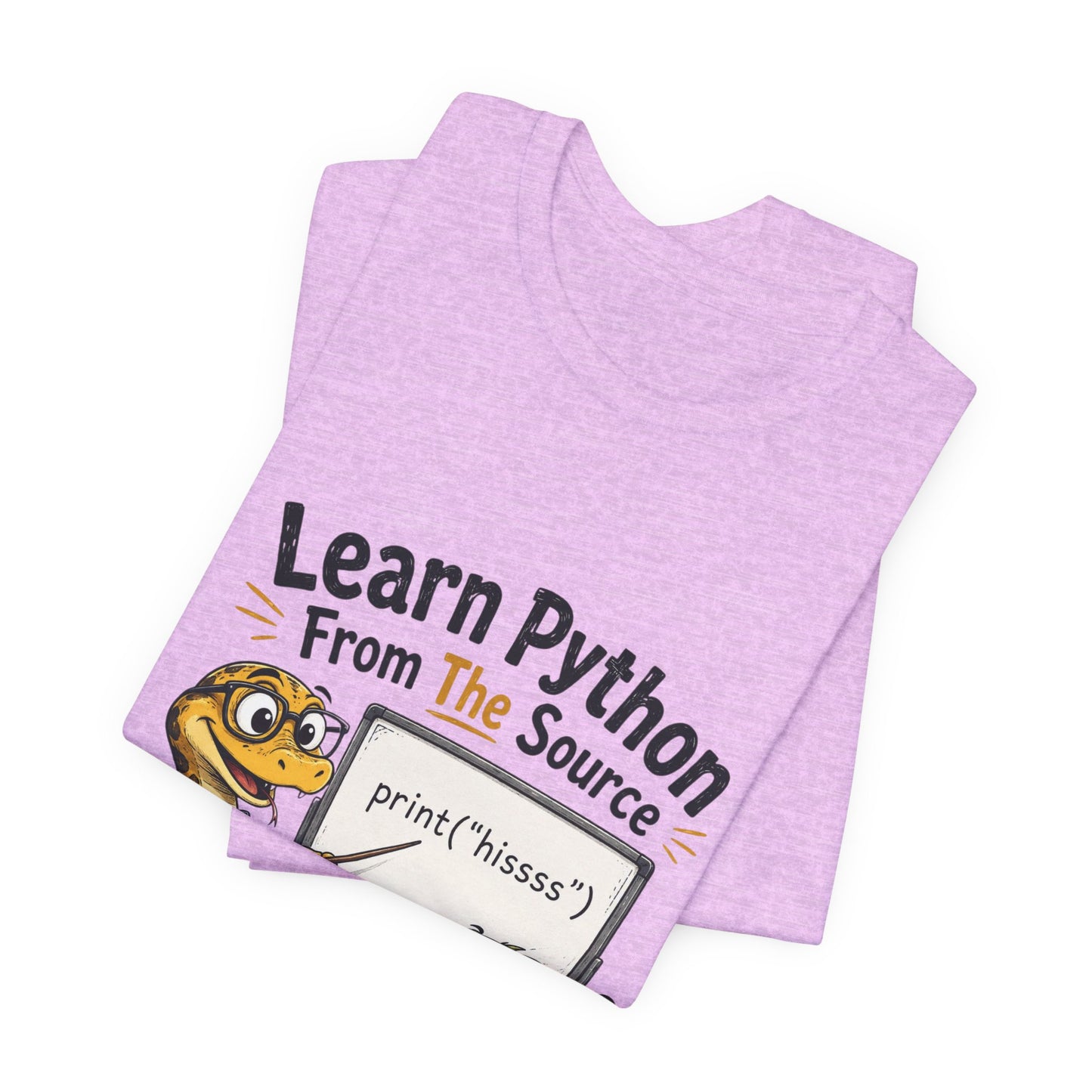 Learn Python From The Source - Cute Snake & Programmer Dino Coding Tee
