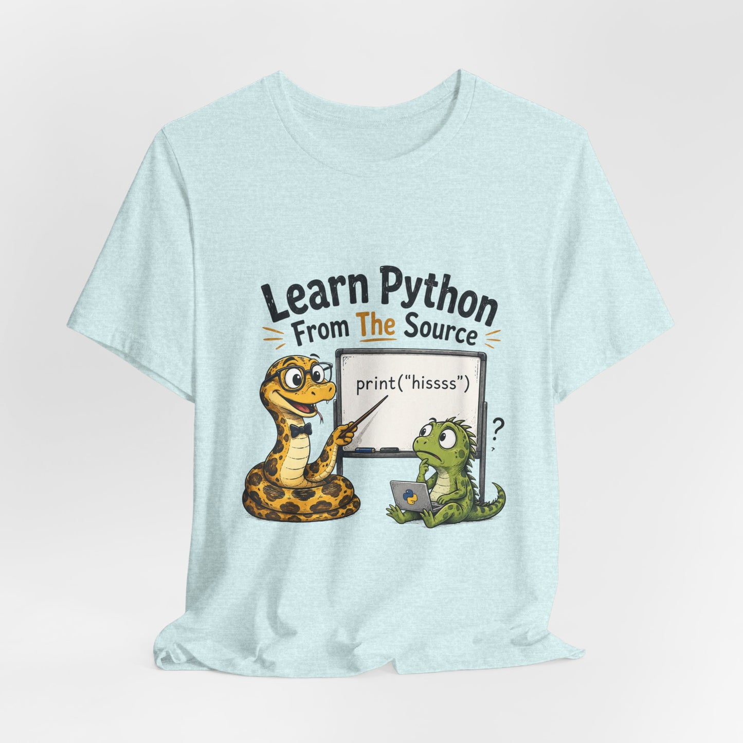 Learn Python From The Source - Cute Snake & Programmer Dino Coding Tee