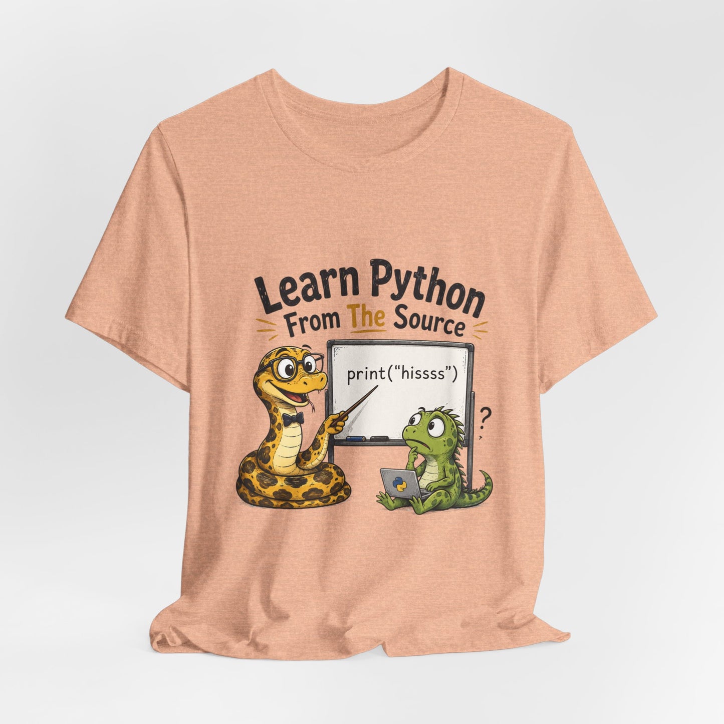 Learn Python From The Source - Cute Snake & Programmer Dino Coding Tee